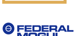 Federal Mogul
